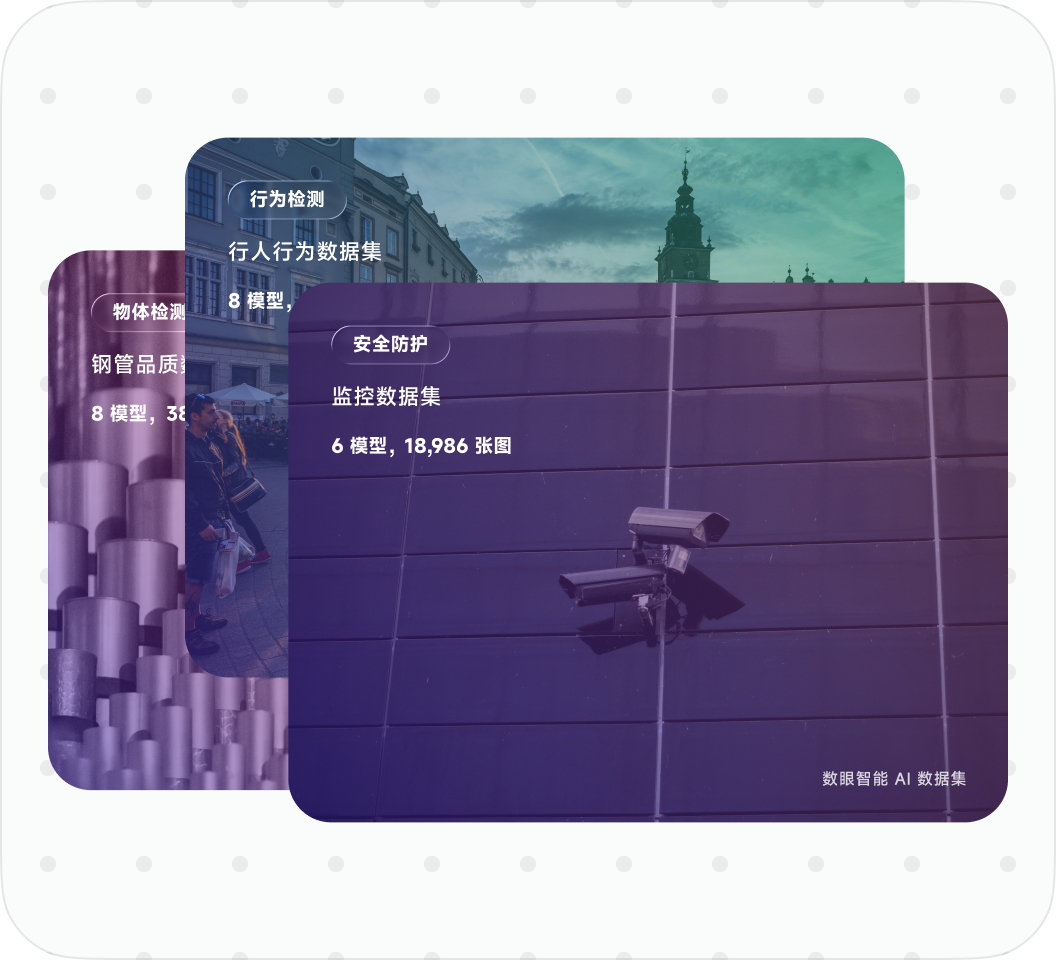 AI 平台数据集构建