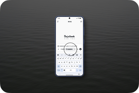 BajoSeek Features